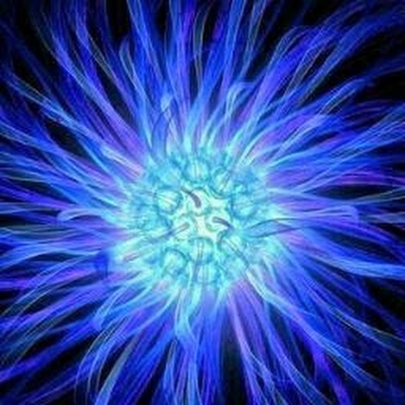 Meet your Posher, Mia - Picture 1 of 1